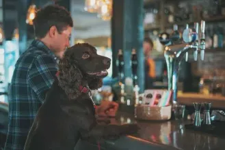 dogFriendly.webp
